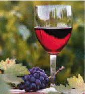 2ª parte de VII.  España viñedo del mundo. VIIIª edición de la Noche del Vino de la DOP Valencia