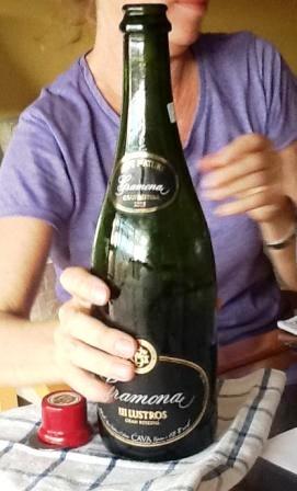 Cavas Vs Champagnes: Primer acercamiento exploratorio 