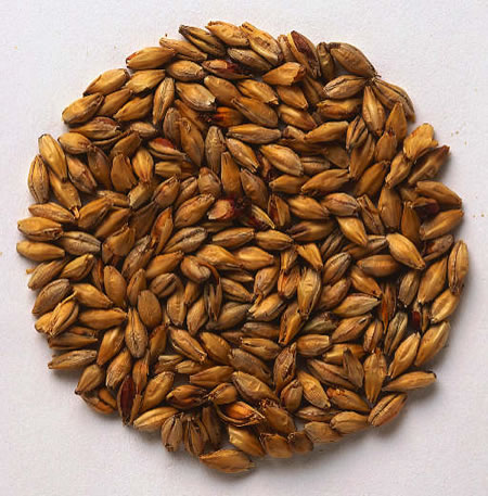 Maltas, granos, adjuntos y fermentables... en cervezas
