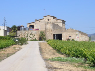 Castell de les Pujades