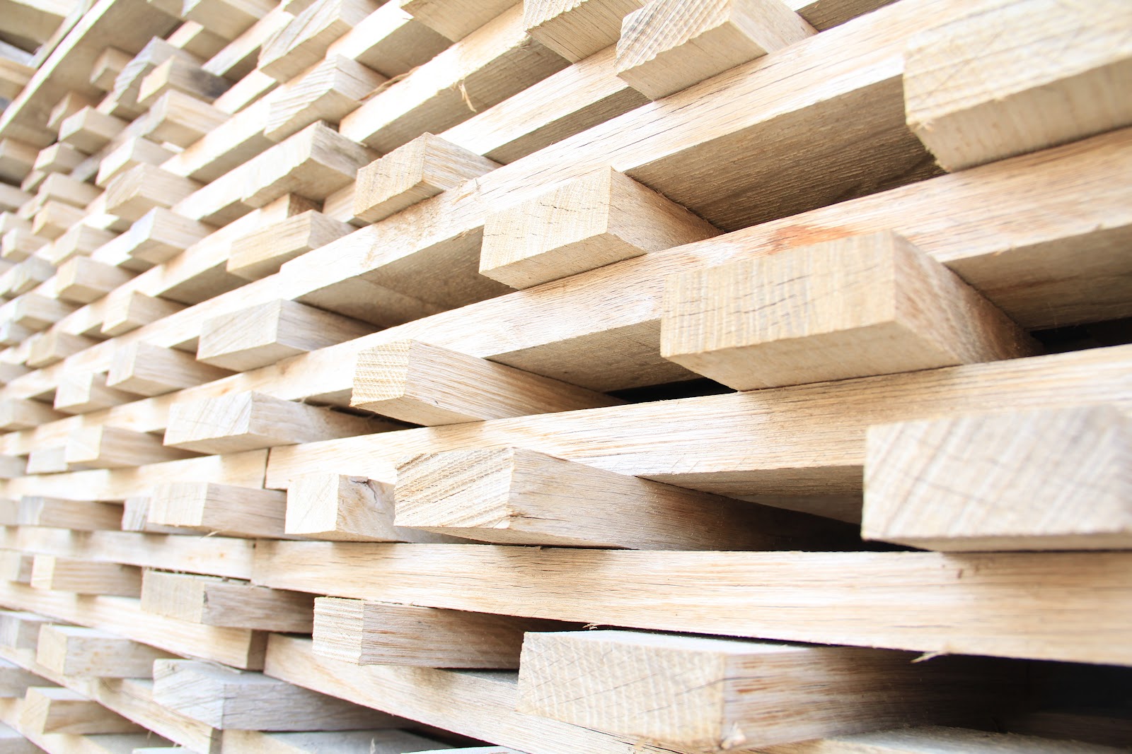 El último tonelero de Castilla: tonelería Burgos