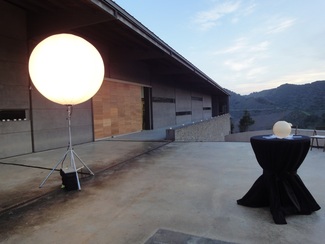 Barco entre viñas de Ferrer Bobet en el Priorat