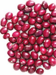 La Olla Podrida de Burgos