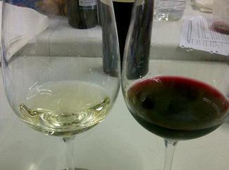 El vino en Letras, La exprexión en la Historia