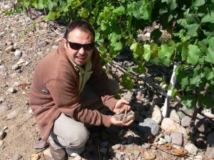 Vinos de Malbec del Valle del Uco