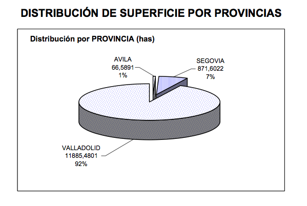 La Denominación de Origen Rueda ha comenzado la vendimia de la variedad Sauvignon Blanc