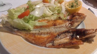 Dorada
