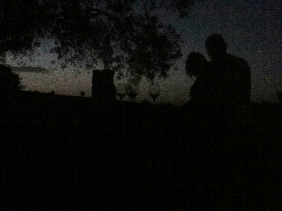 Sentencia Bodegas y Viñedos Parte III: En la viña