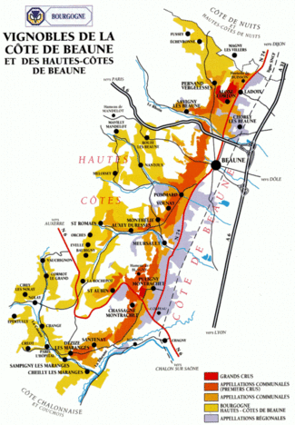 Rodolphe Demougeot, un buen intérprete de la Côte de Beaune