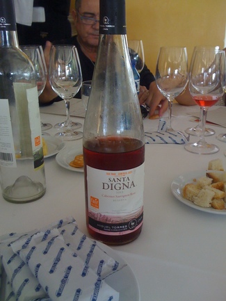 Santa Digna Cabernet Sauvignon Rosé 2012