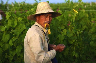 China interesada en los vinos blancos 