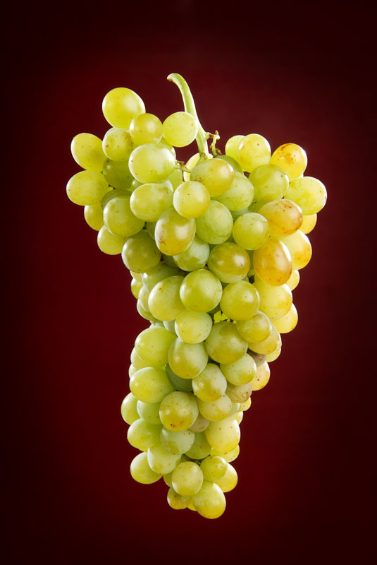 ANECOOP Bodegas y Francis Montesinos presentan Reymos 1918, un homenaje a la tierra valenciana