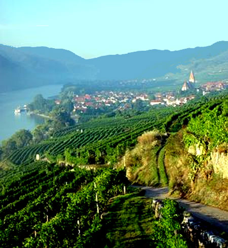 Vinos de Austria: Kamptal, Wachau, Kremstal, el rincón de las maravillas. 