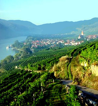 Vinos de Austria: Kamptal, Wachau, Kremstal, el rincón de las maravillas. 