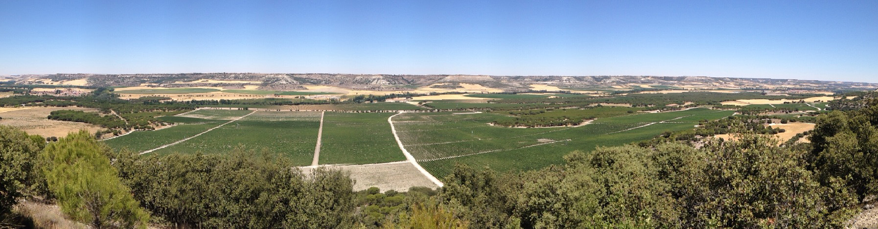 Un paseo por la Ribera del Duero (Parte I): Abadía Retuerta