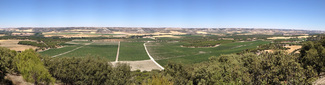 Un paseo por la Ribera del Duero (Parte I): Abadía Retuerta