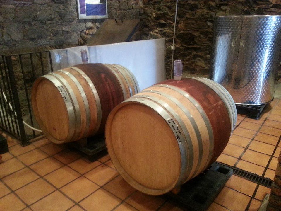 La Presencia Fredi Valor a la Tradición