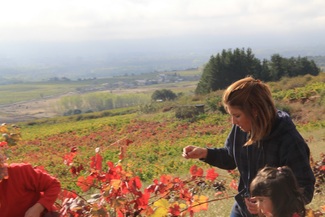 El Bierzo, algo más que una denominación.....