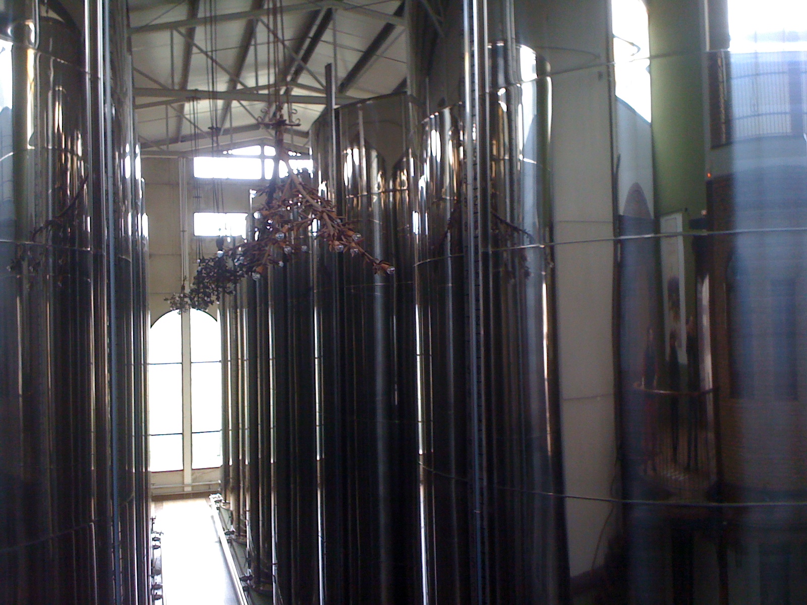 Buscando un aceite virgen extra de verdad