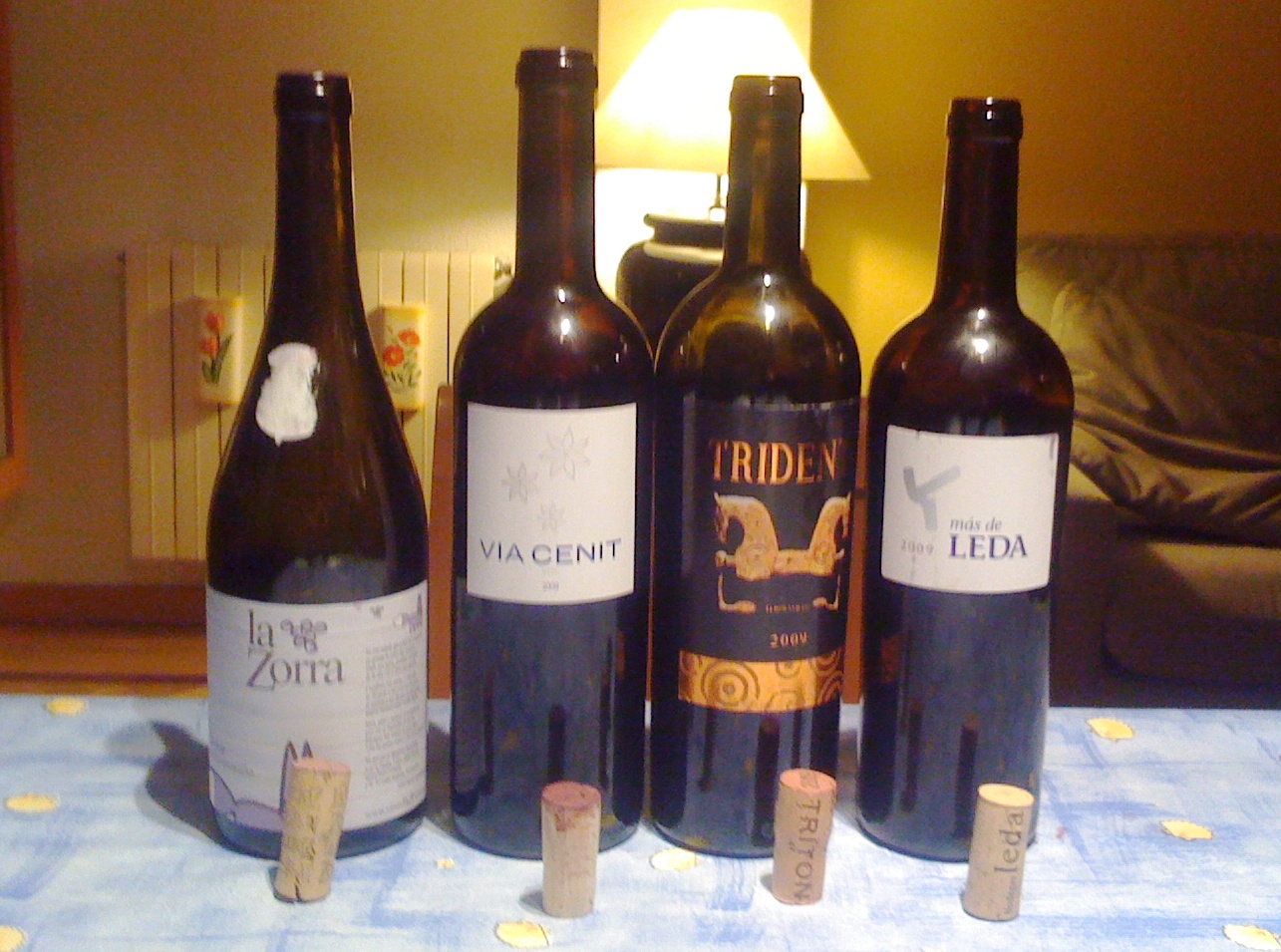 Vinos de Castilla y León: "Entorno a sus Vinos"