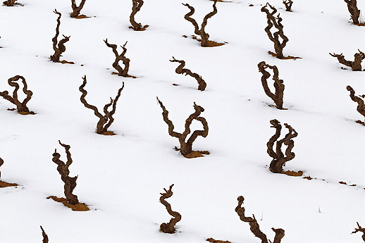 Me gusta la nueva parkerización de los vinos españoles