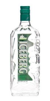 10 marcas de Gin Premium diferentes alrededor del mundo