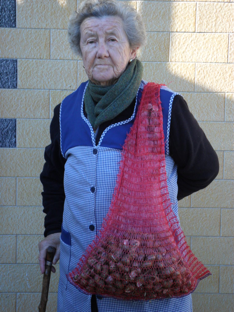 Caracoles a la montañesa