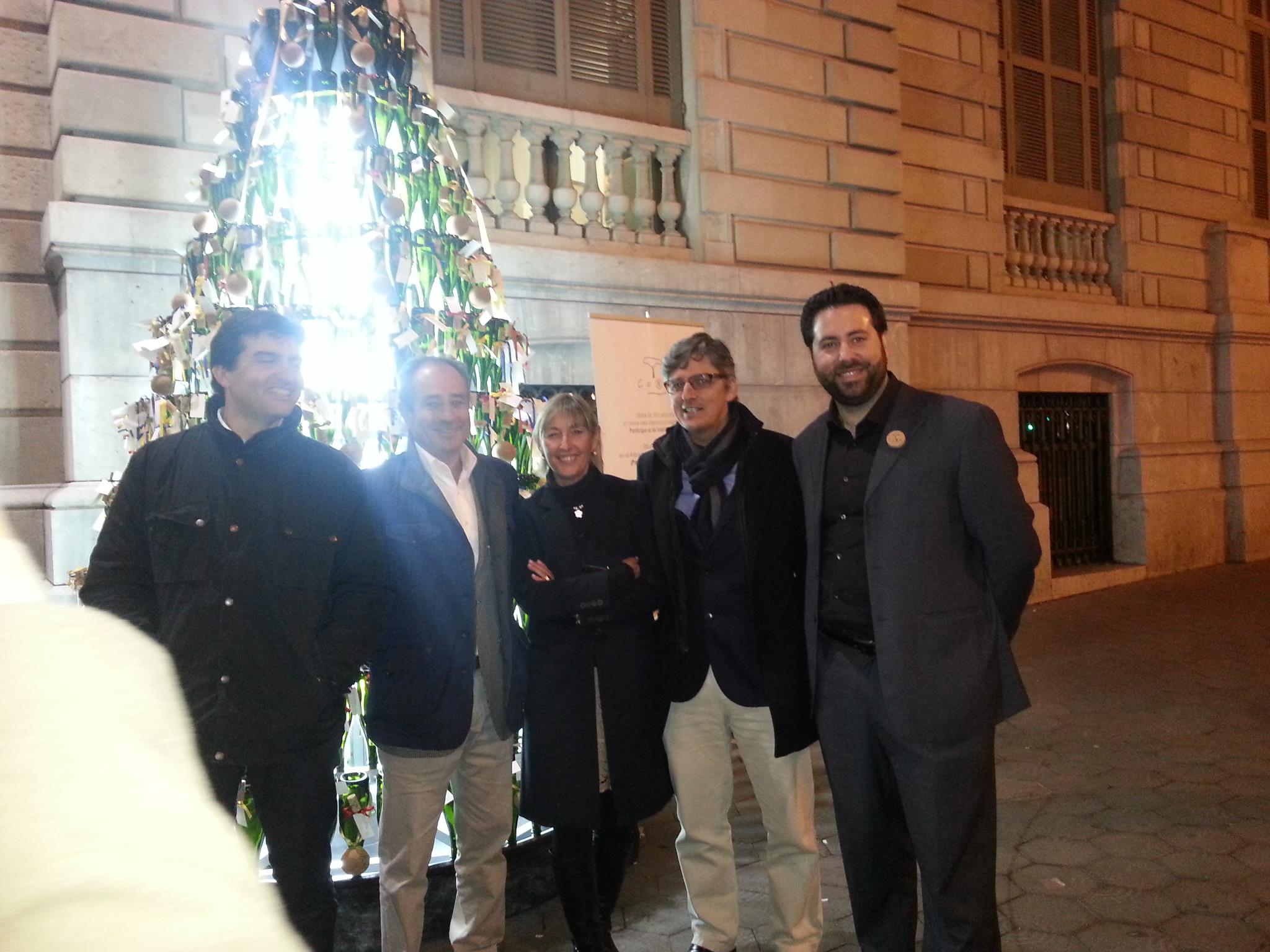 Cork El árbol Más Sostenible en Barcelona
