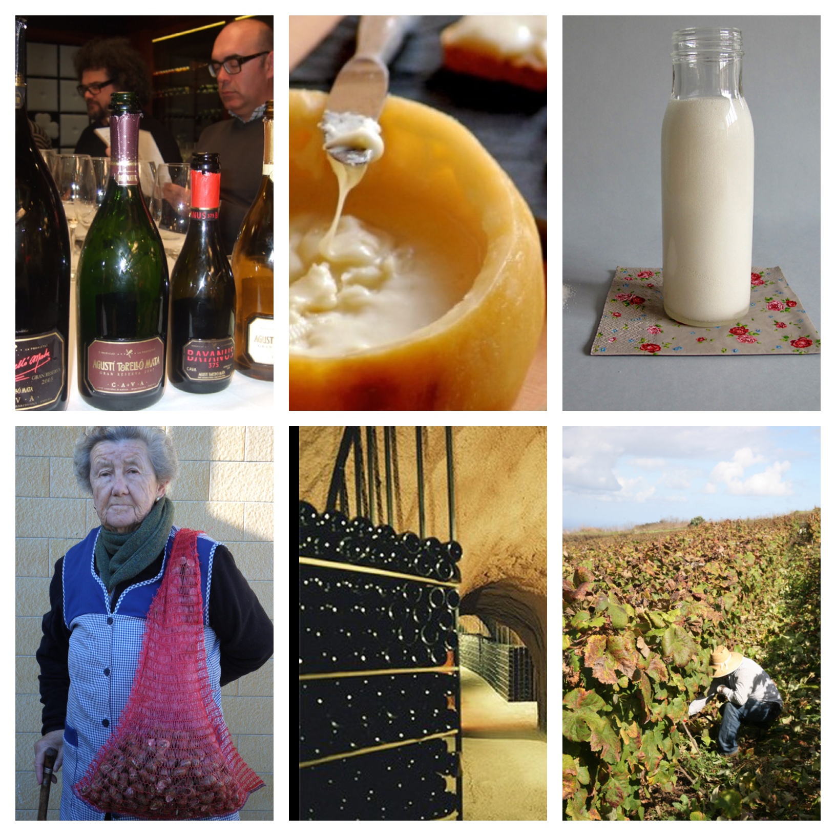 Los artículos y posts más leídos del 2012 en Verema