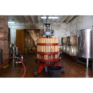 Bodega de Magnanimvs