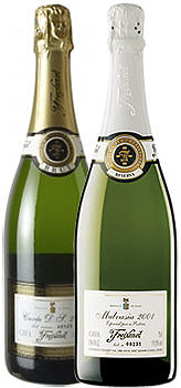 Nueva Cata Virtual en Verema.com: Cavas Freixenet