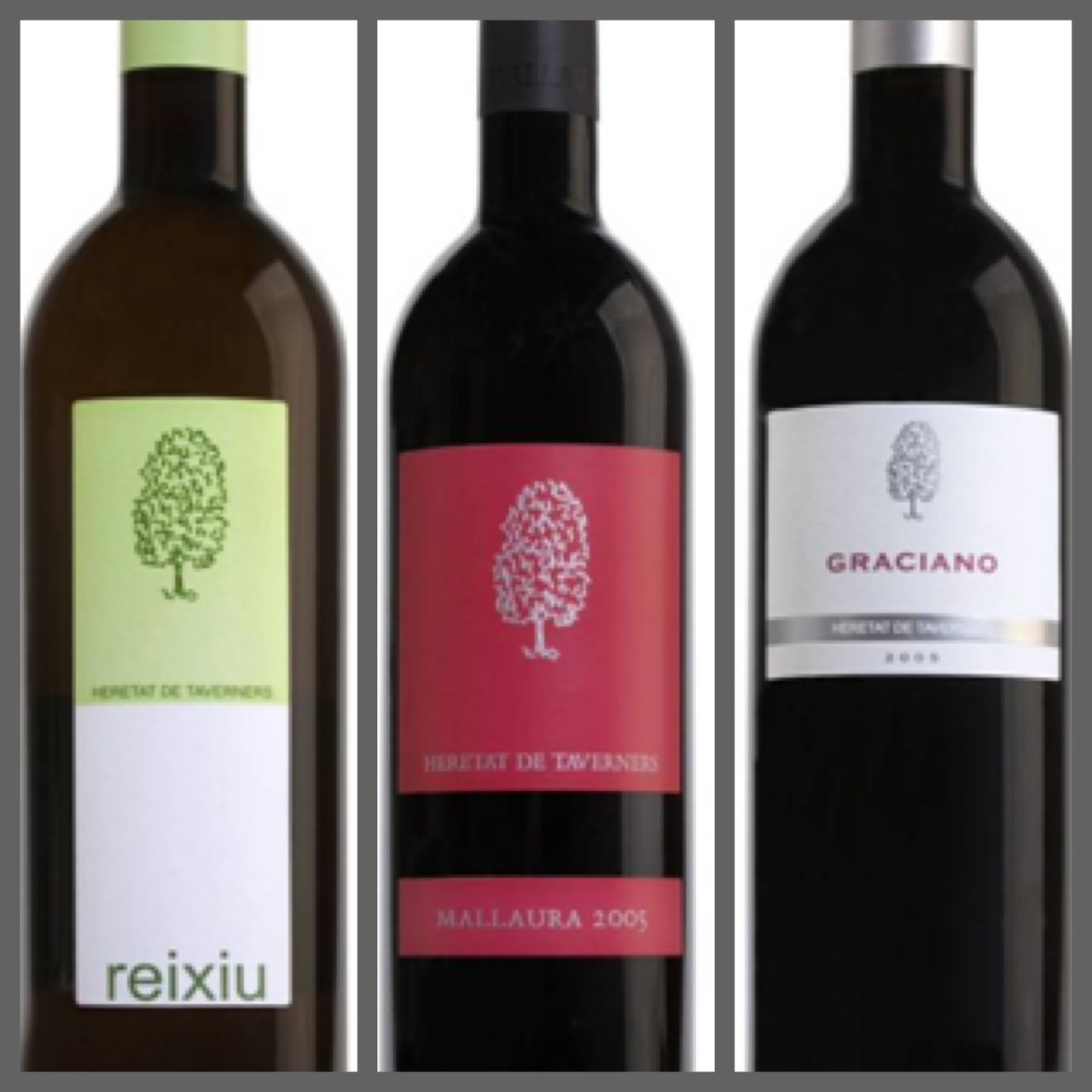 Degustación gratuita de los vinos de Heretat de Taverners