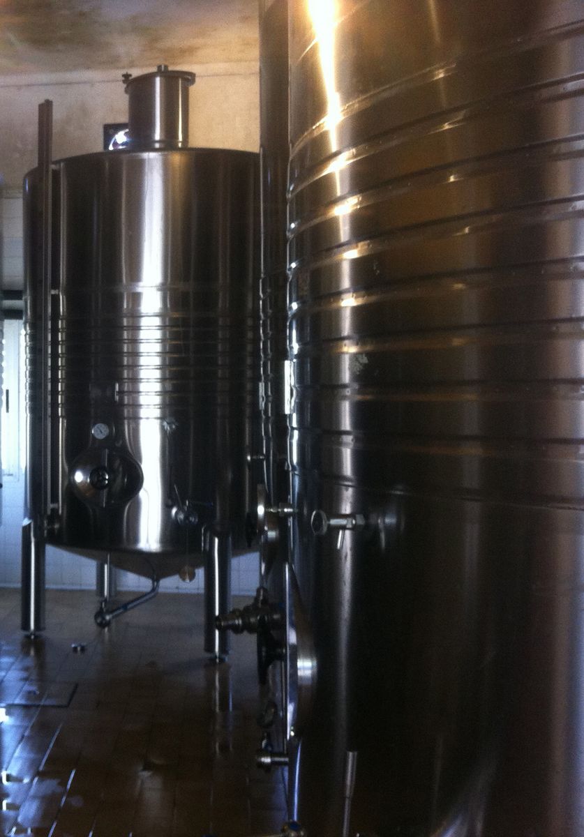 Monastrell en pie franco desde Totem Wines (Ibiza)