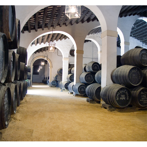 Tío Pepe y Noé, entre los mejores vinos de 2012