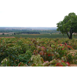 Entorno de Altos del Terral