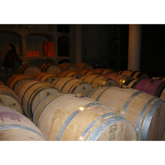 Barricas de Altos del Terral