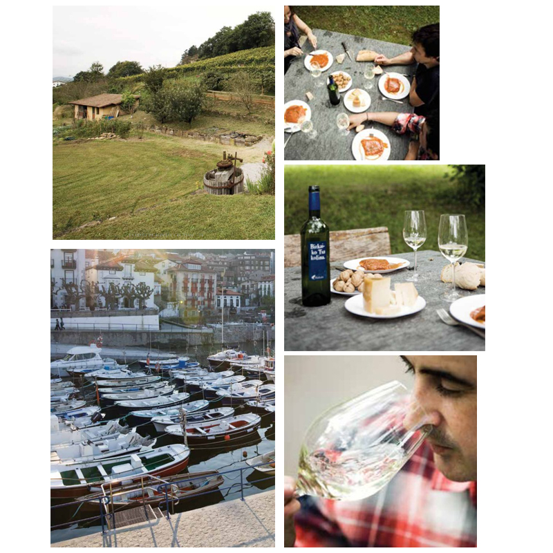 La guía Txakolí de Bizkaia: El Viaje recibe el Premio Gourmand al Mejor Libro del Mundo sobre Vinos Europeos