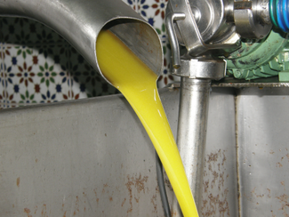 Los defectos del aceite de oliva