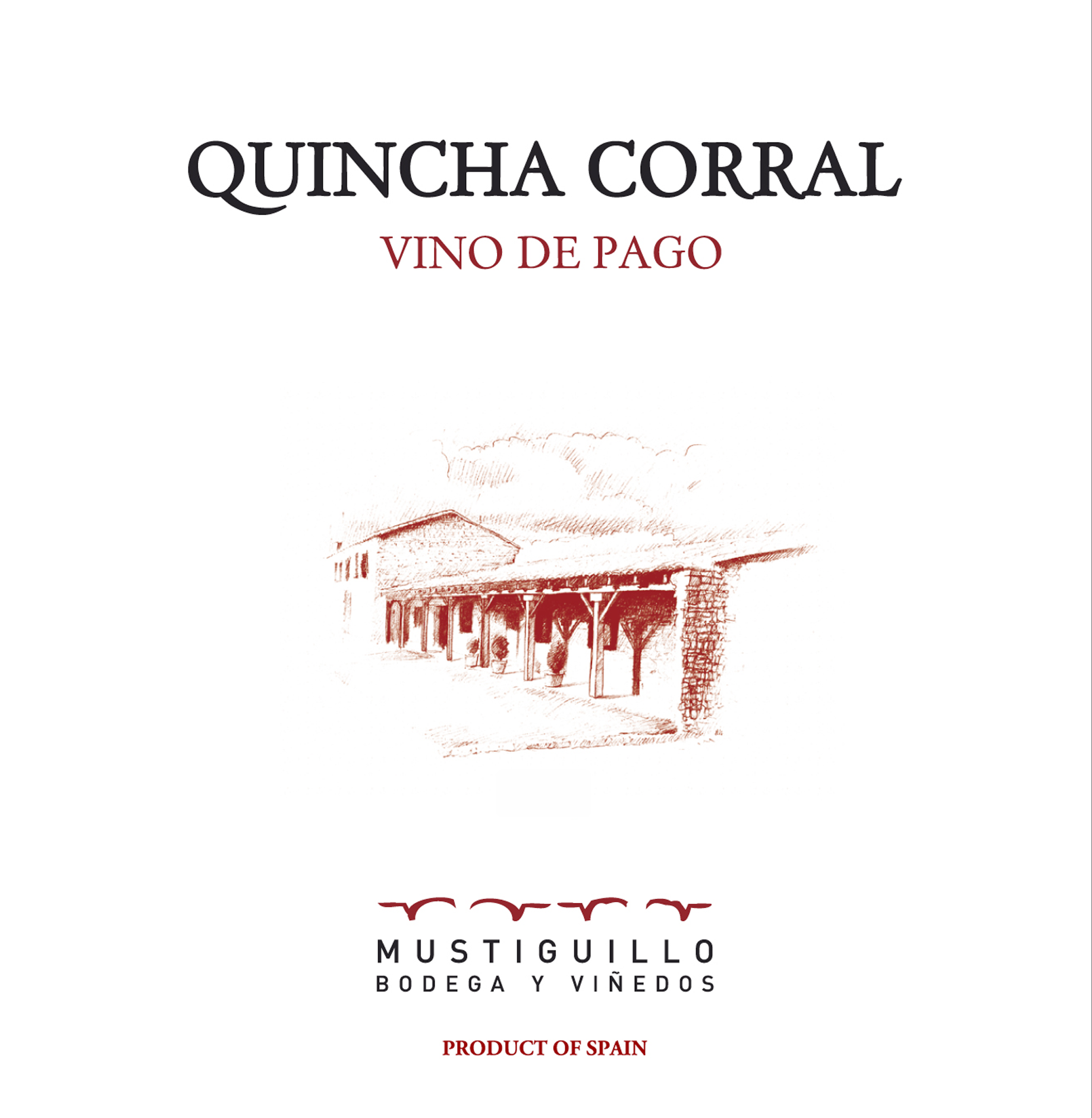 Quincha Corral: Una vertical soñada. 12 Encuentro Verema