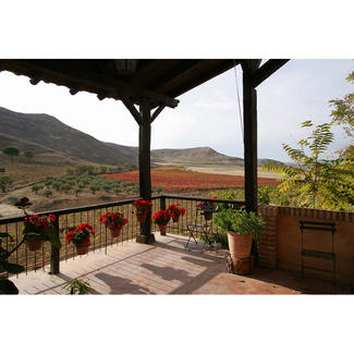 Viñedo de Uribes Madero