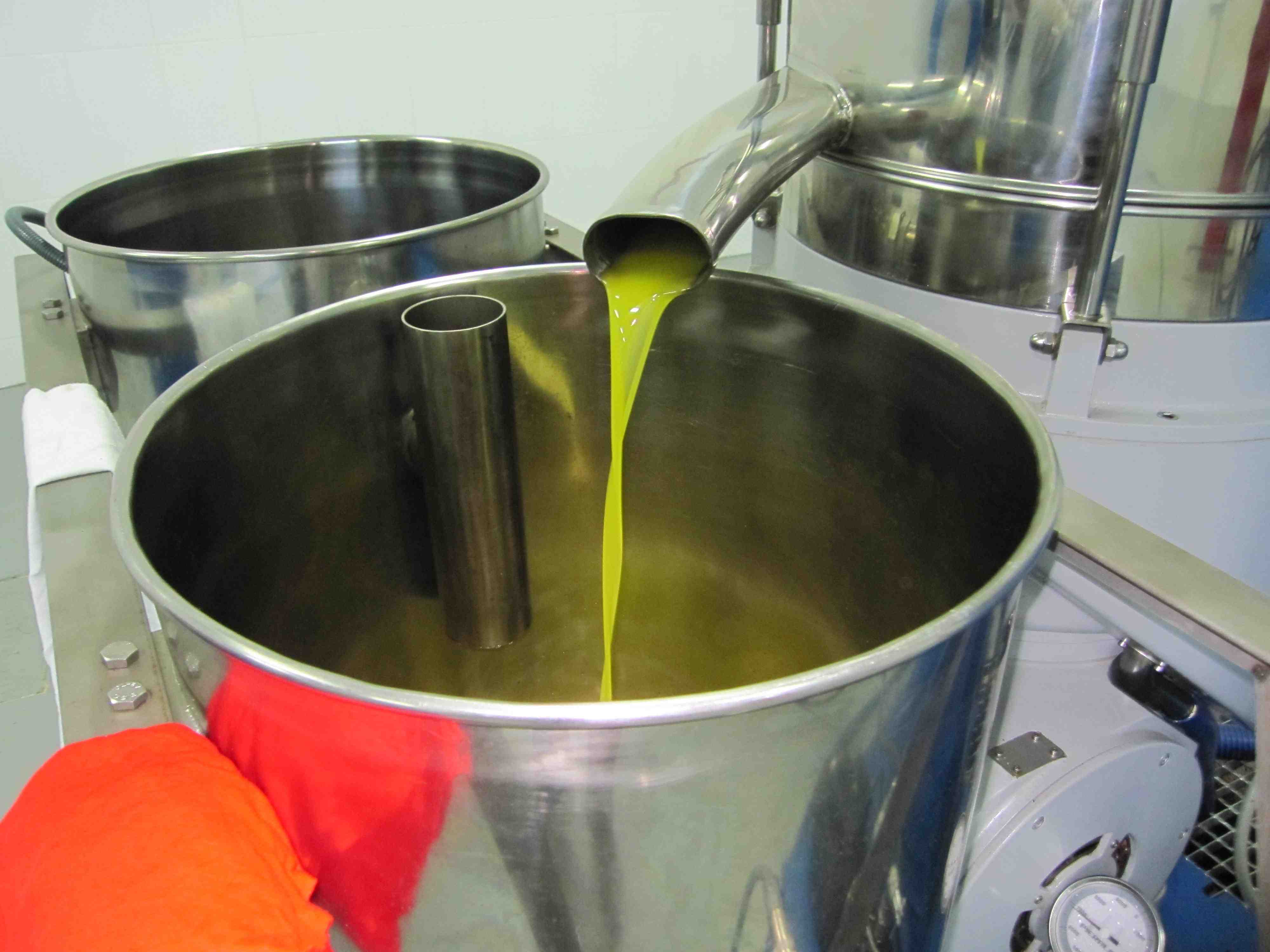 Aceite "Virgen" vs. "Virgen Extra"