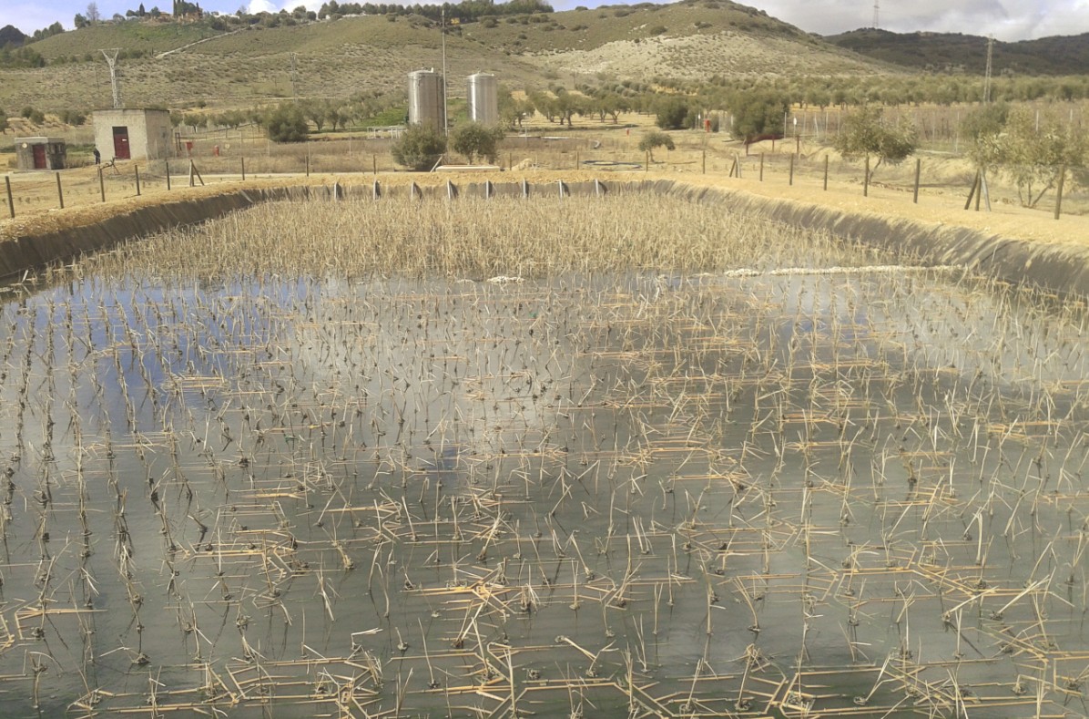 La novedosa ecodepuradora de la Alcoholera de Chinchón  