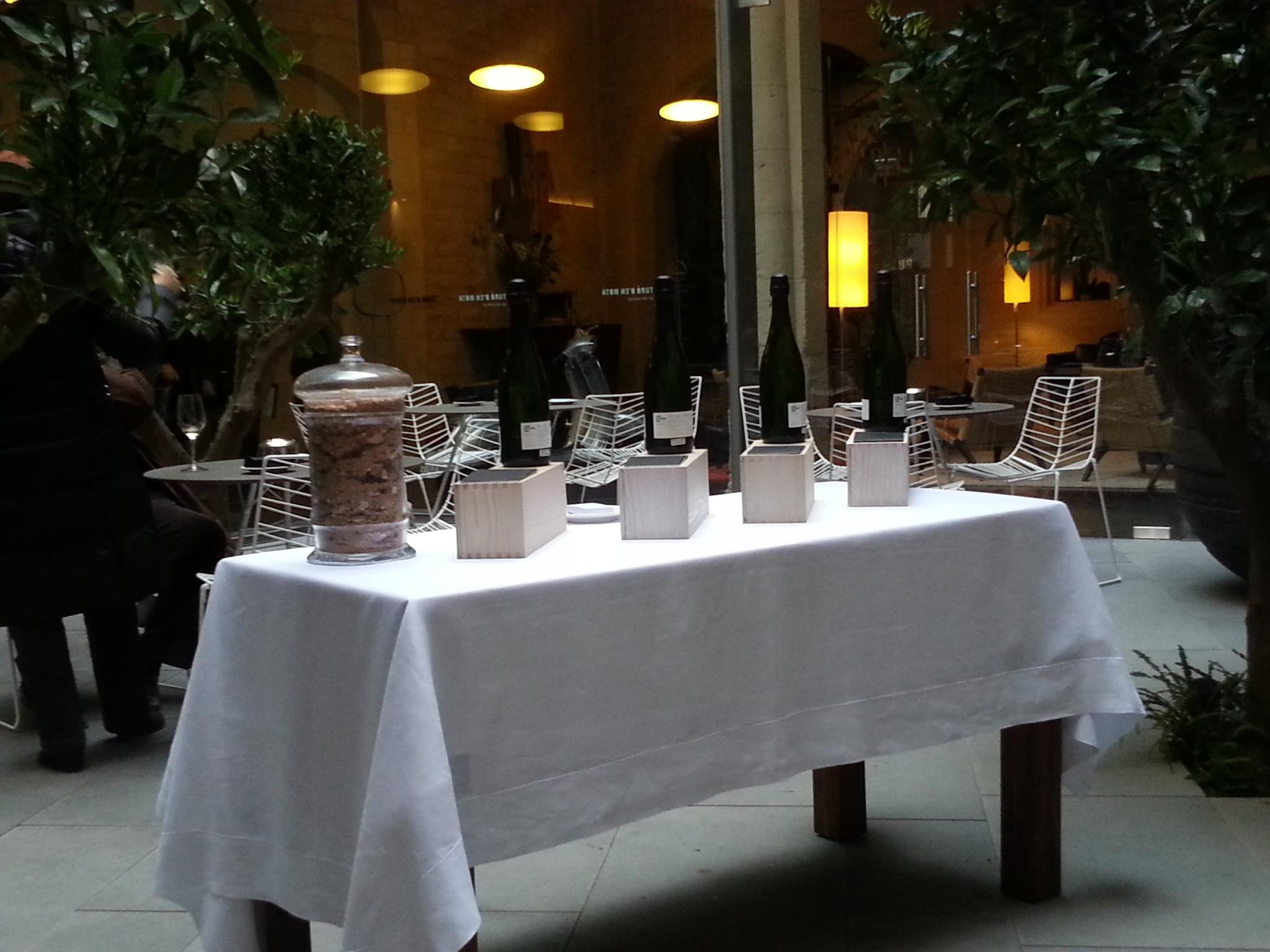 Recaredo Turó D' en Mota 2001