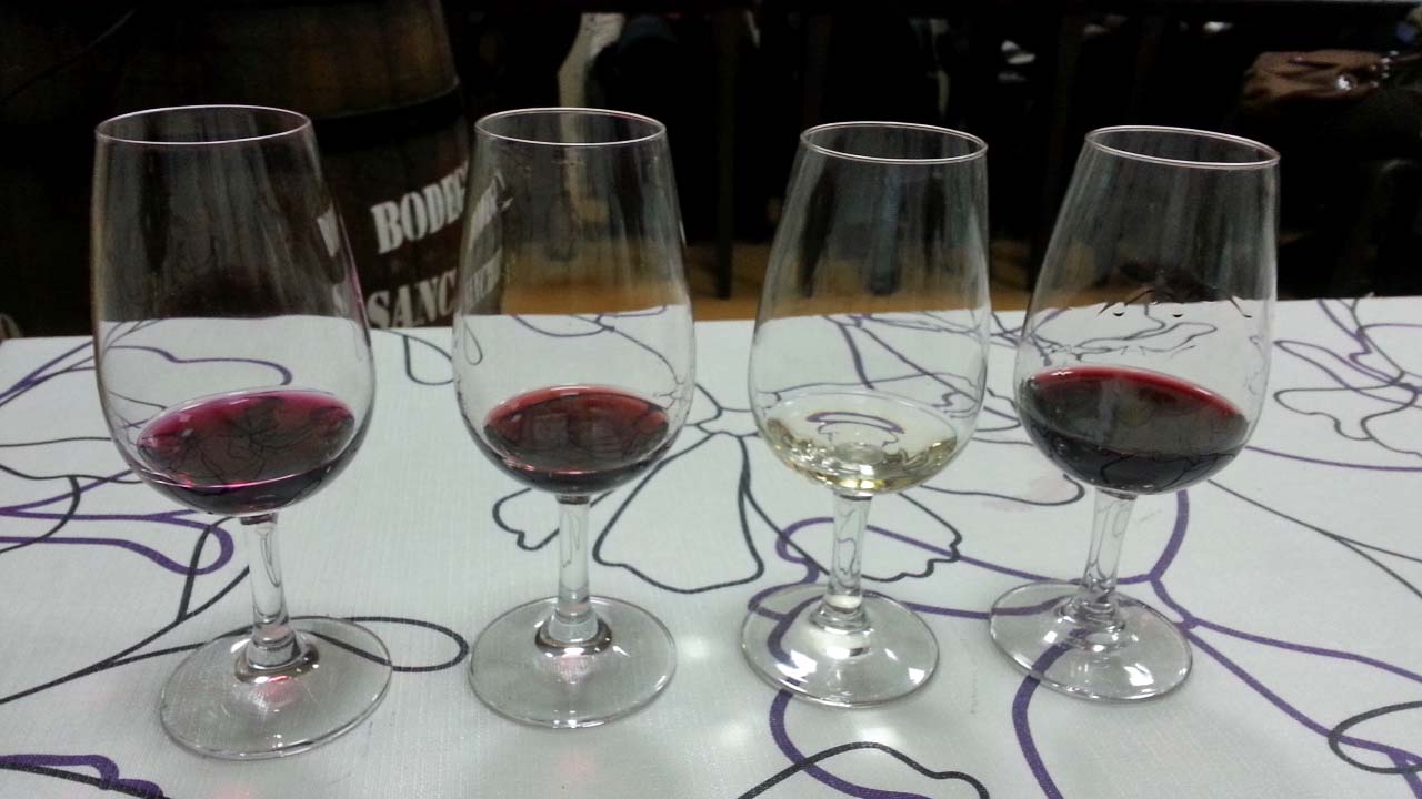 De Nuevo los Vinos de Remírez de Ganuza