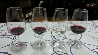 De Nuevo los Vinos de Remírez de Ganuza