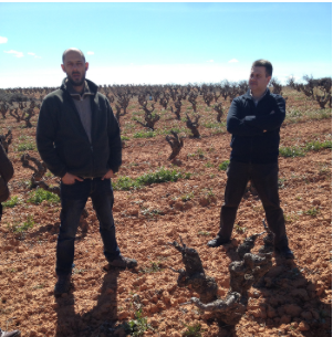 Visita a la Bodega Bobal de Sanjuan. Enoturismo en Utiel-Requena