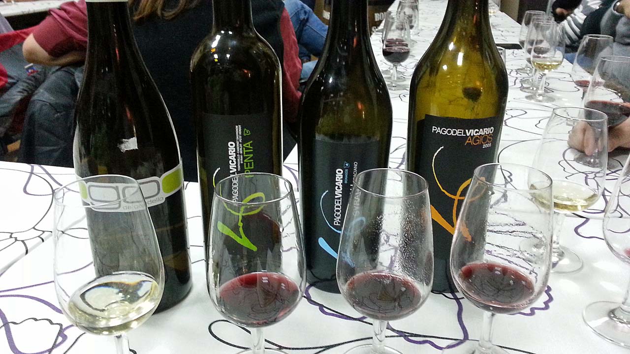 Cata de Vinos de Pago del Vicario