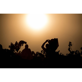 Vendimia Bodegas Eguren Ugarte