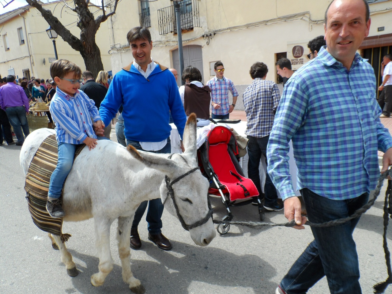 Terres dels Alforins reafirma el compromiso con sus raíces y aproxima sus mejores vinos 