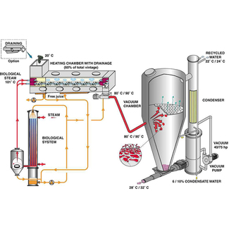 Proceso de elaboración